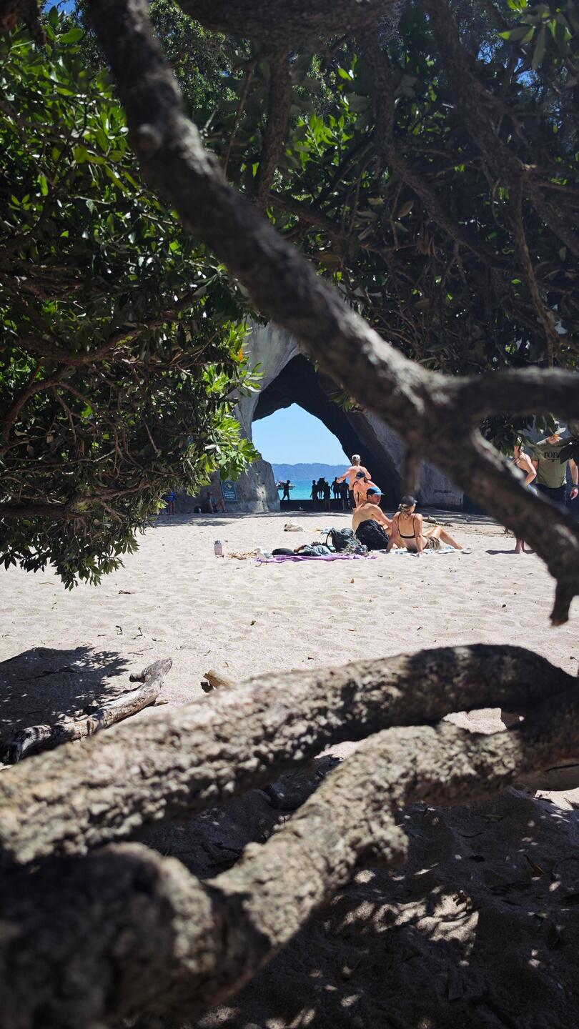 Cathedral Cove Beach