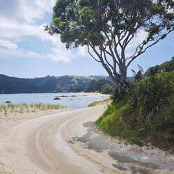 Kuaotunu Clif / Beach