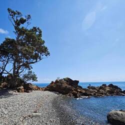 Way back to Coromandel