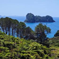 Cathedral Cove Walkway