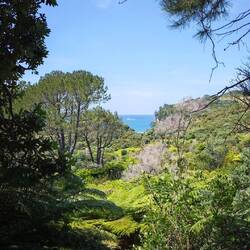Cathedral Cove Walkway