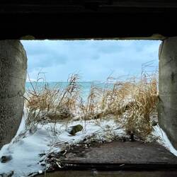Look out window