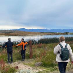Avistadores de aves (avestadores)