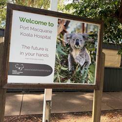 Koala Hospital Port Macquarie
