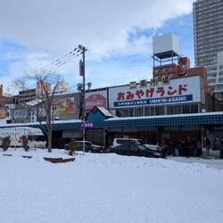 Le marché Nijo market