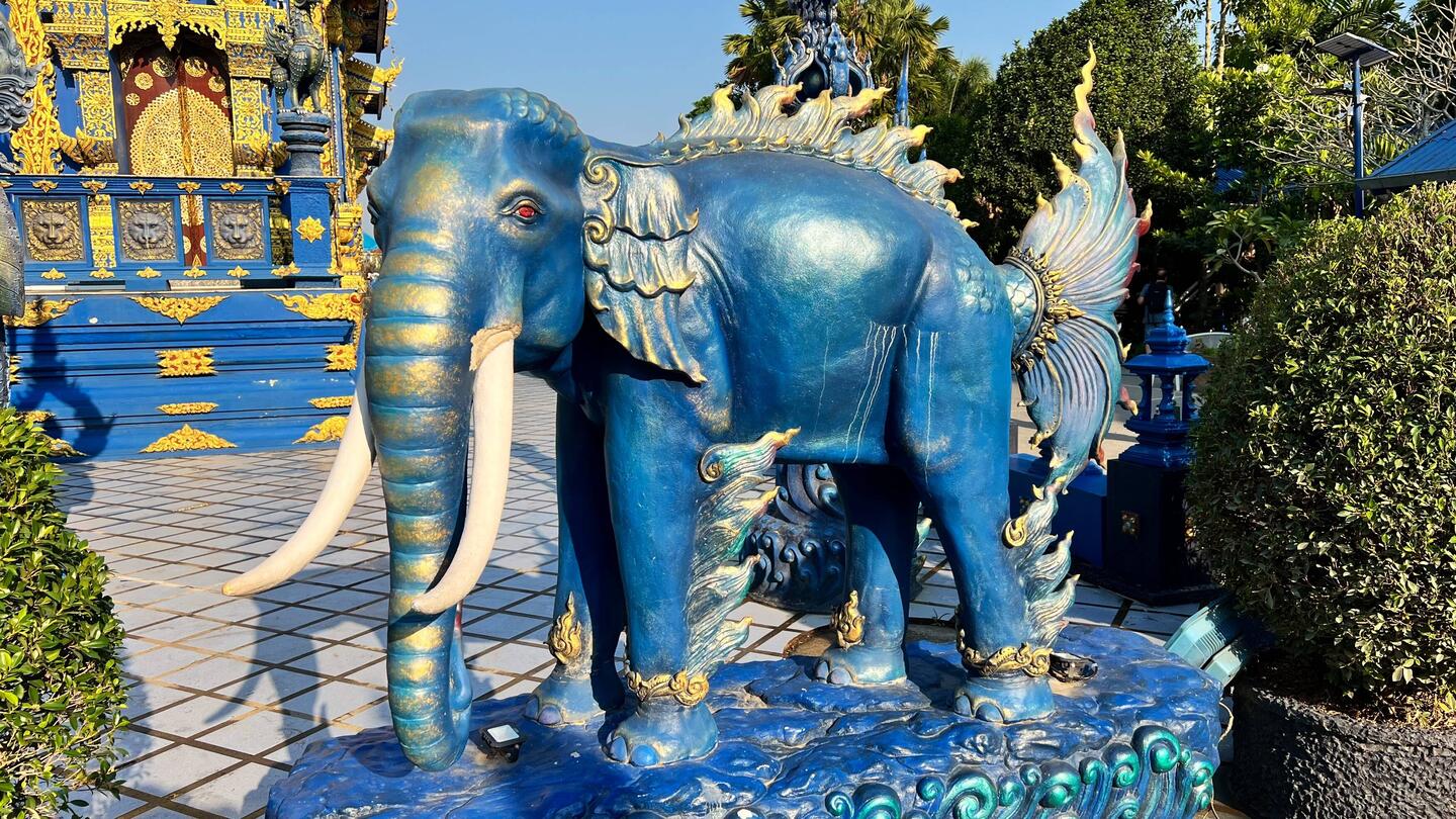 Elefant am Blauen Tempel