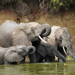 Familienausflug zum Fluss