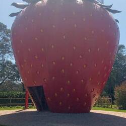 The huge monument to the strawberry