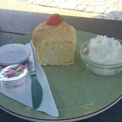 The massive serving of scone and cream