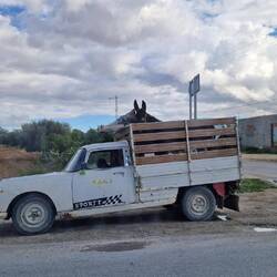 Peugeot Pick up der frühen Jahre. Mit Eseln hinten drauf