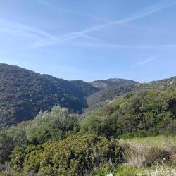 Nationalpark Foreste Umbra