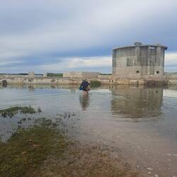 Bei Flut kommt man nur mit durchs Wasser laufen auf die Plattform.