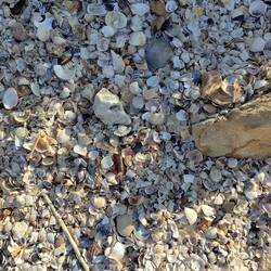 Da wäre ich den ganzen Tag beschäftigt 😁