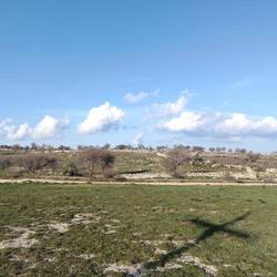 Steinig ist es überall