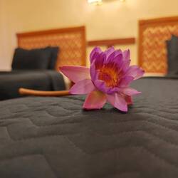 ...gab's zur Begrüßung im Hotel 🤗🌺