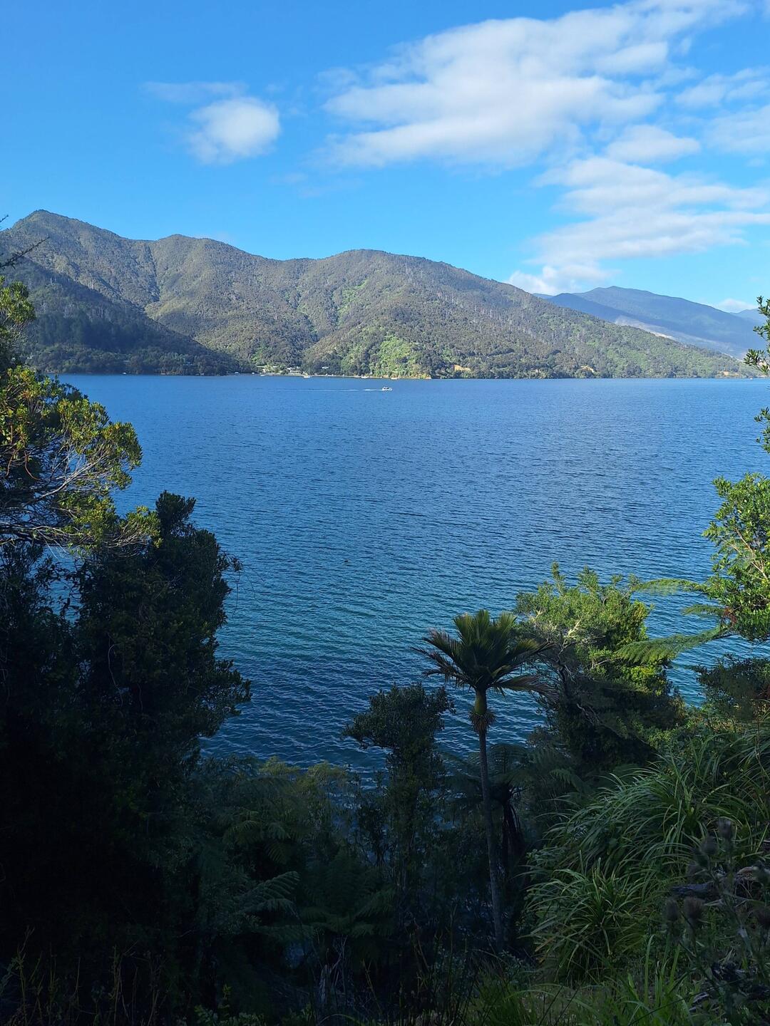 Queen Charlotte Track