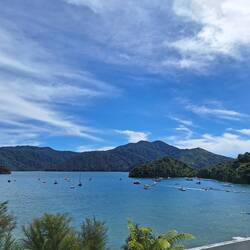 Am Weg nach Picton