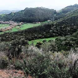 Nur noch ein Tal, dann ist man in Aljezur. Die Flagge auf der alten Festung kann man schon erkennen.
