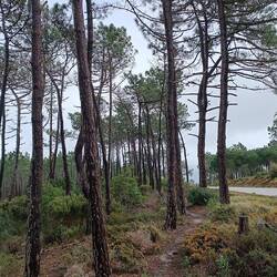 Nicht mehr weit bis nach Aljezur.