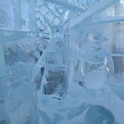 I found the penguins