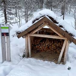 There is free firewood throughout the park to take and use in designated areas