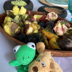 Da steht er mit den verschiedenen Kartoffeln.