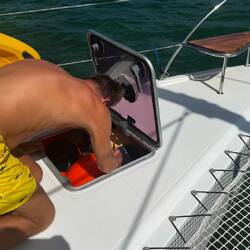 wo ist denn das nächste Schnitzel?