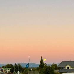 Månen midt i solnedgangen 🫠