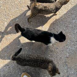 Und seine ganze Bande!