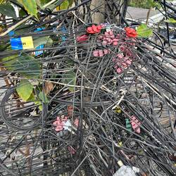 Mit dem Strom ist jedenfalls alles in Ordnung 🧐