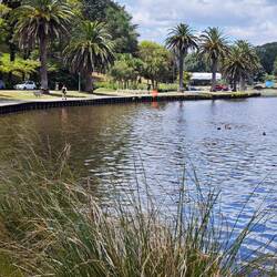 Hamilton Lake Domain