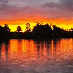 Hamilton Lake Domain