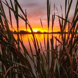 Hamilton Lake Domain