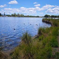 Hamilton Lake Domain