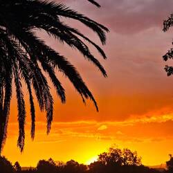 Hamilton Lake Domain