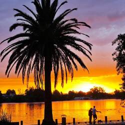 Hamilton Lake Domain