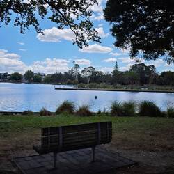 Hamilton Lake Domain