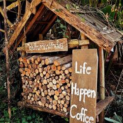 Ma Family Coffee Farm