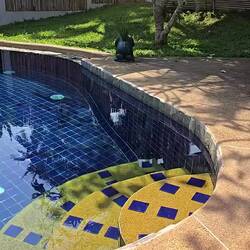 The beautiful scent of the jasmine flower fills the air.