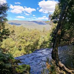 Russell Falls von oben