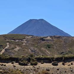 Ein alter Bekannter 🥰... Ebenfalls vom Taranaki Falls Track aus zu sehen.