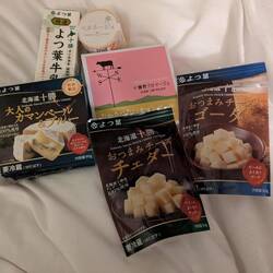 Dégustation de fromage : gouda cheddar camembert, camembert au bleu et べルネージュ "belle neige"