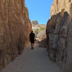 Skull Discovery Trail
