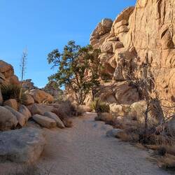 Skull Discovery Trail