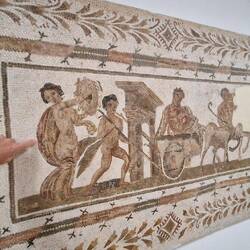 Zum Größenvergleich