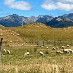 Views as we started back into the mountains