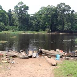 ...zum Nyong Fluss...