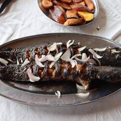 Am Nachmittag gibt es Wels