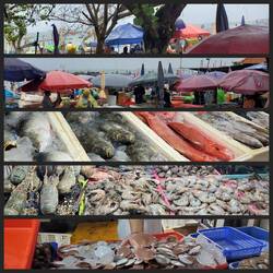 The fish Markey was buzzing with activity!