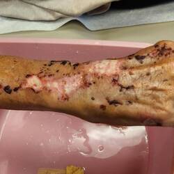 My right arm today. Looking 'good'?🥴